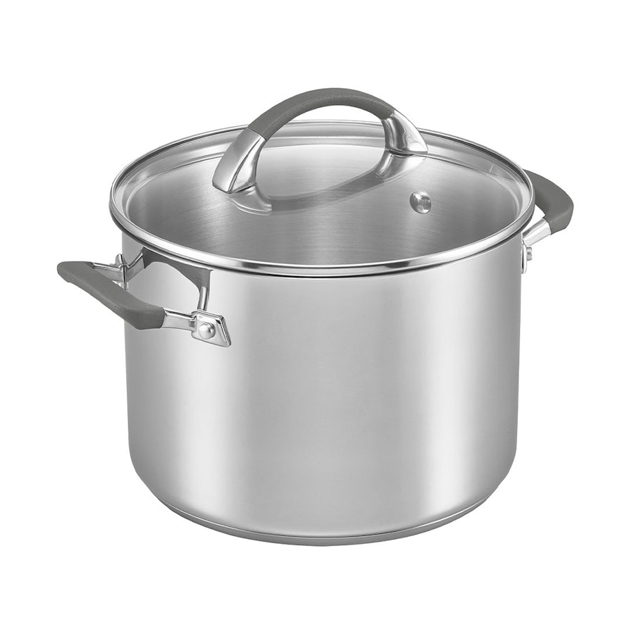 Anolon Endurance 24cm (7.6L) Covered Stockpot Stainless Steel Stainless Steel