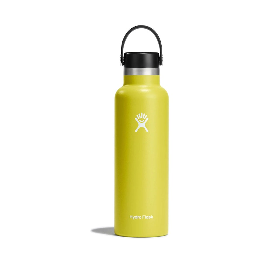 Hydro Flask 21oz (621ml) Standard Mouth Drink Bottle Cactus Cactus