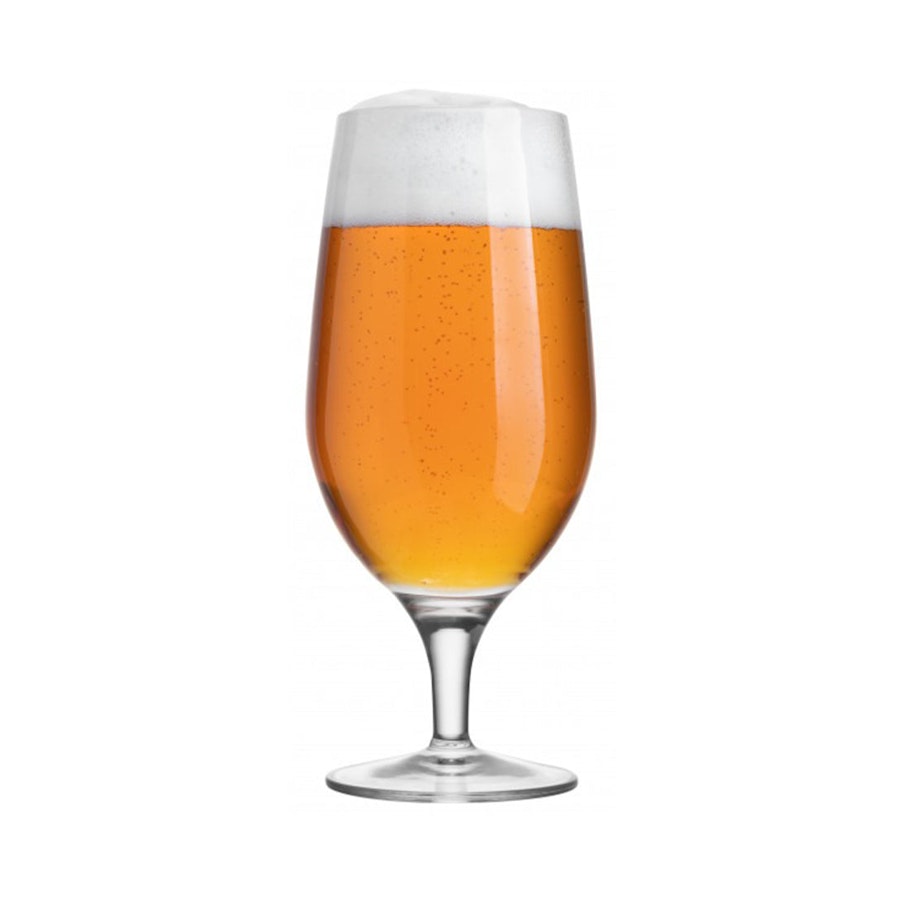 Luigi Bormioli Michelangelo 570ml Beer Glass Gift Set of 4 Clear Clear