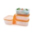 Tupperware Freezer Keeper Small Low Freezer Containers (Set of 4) Orange