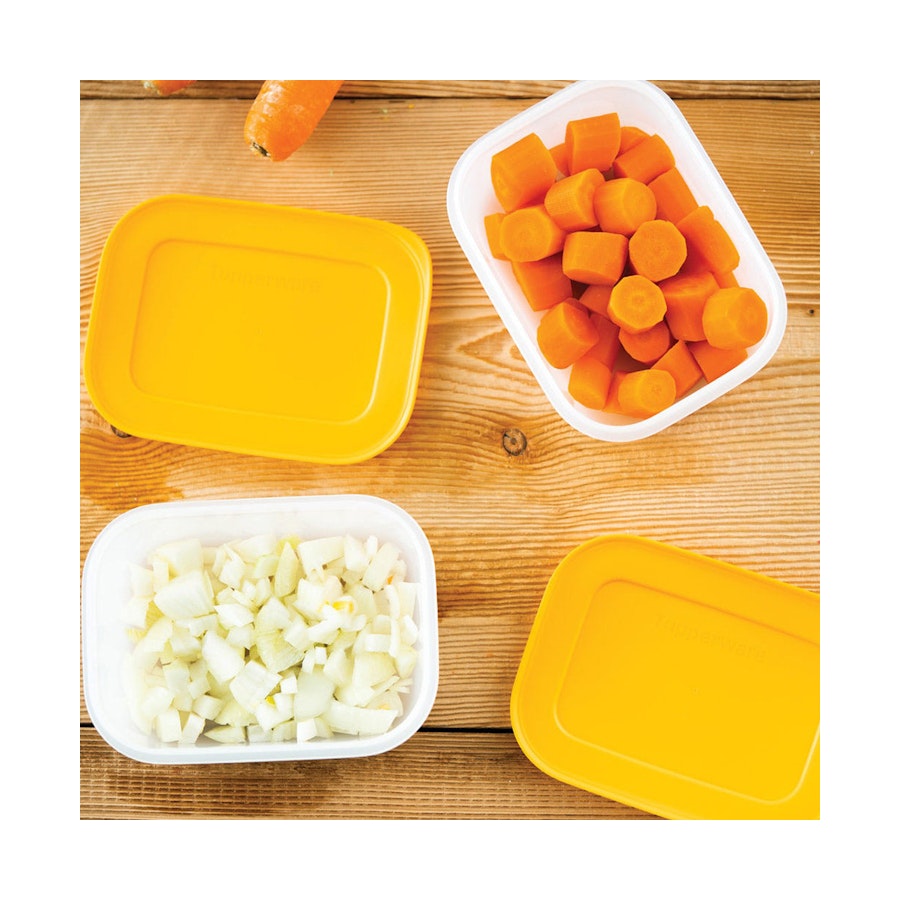 Tupperware Freezer Keeper Small Low Freezer Containers (Set of 4) Orange Orange