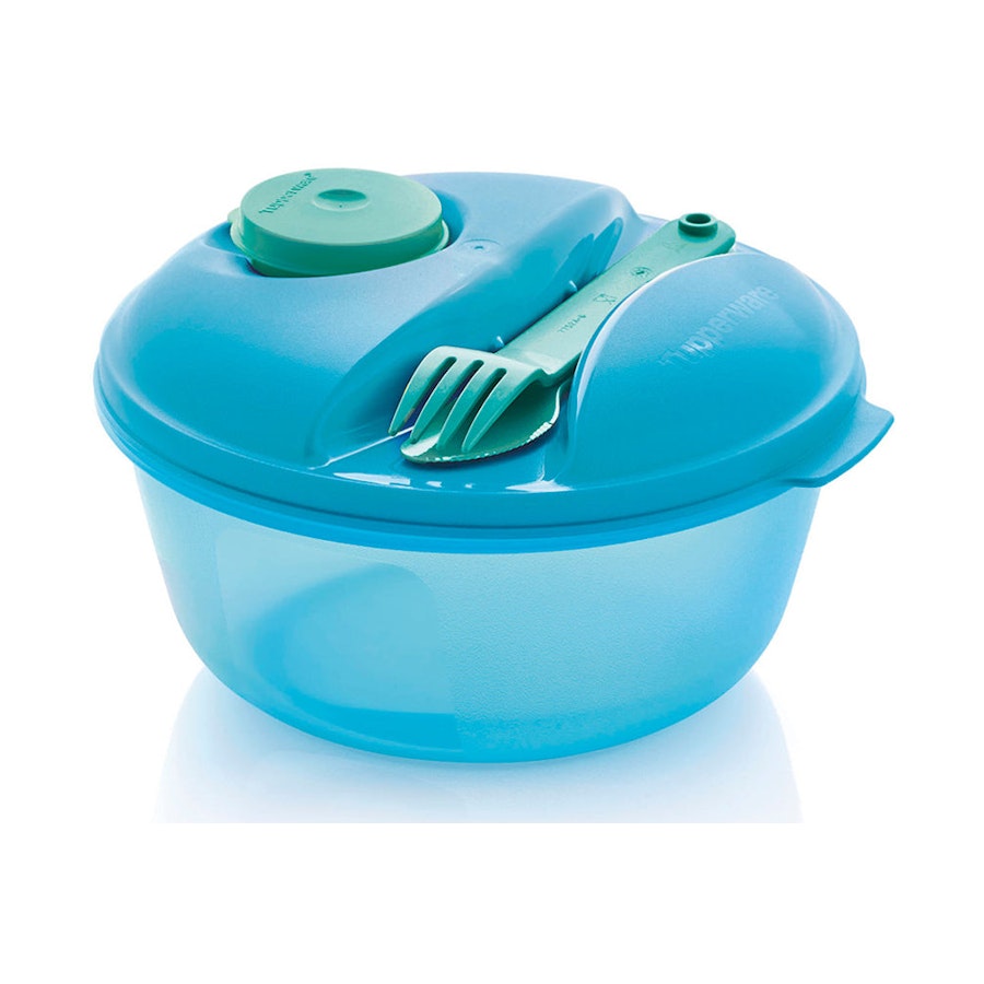 Tupperware Salad On The Go Set Blue/Green Blue/Green