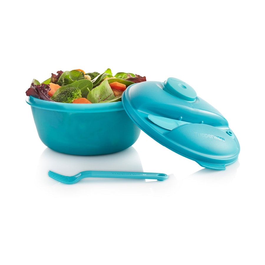 Tupperware Salad On The Go Set Blue/Green Blue/Green