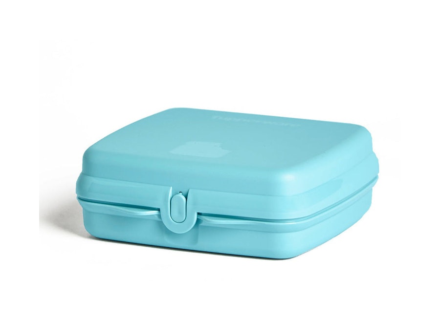 Tupperware Sandwich Keeper Square Dolphin Dolphin