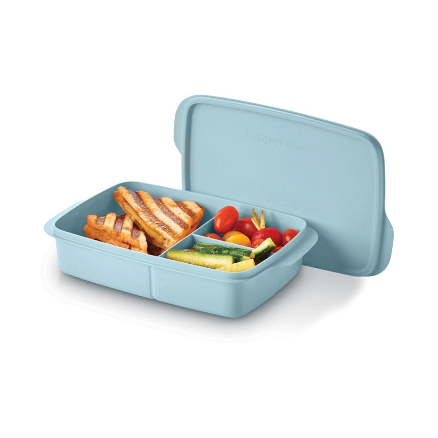 Tupperware Divided Lunchbox 1L Dolphin Dolphin