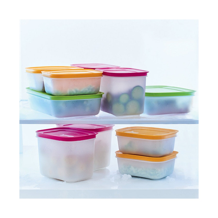Tupperware Freezer Keeper Containers (Mega Set of 10) Multi Coloured Multi Coloured