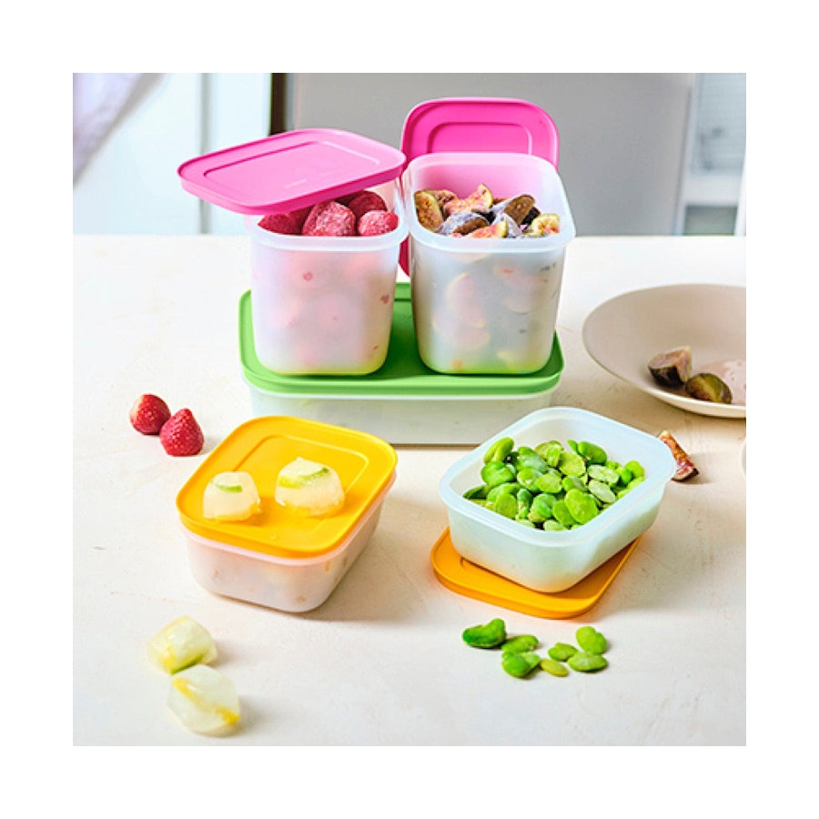 Tupperware Freezer Keeper Containers (Mega Set of 10) Multi Coloured Multi Coloured
