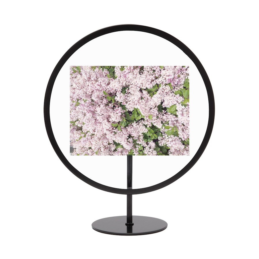 Umbra Infinity Floating Round Picture Frame - 10cm x 15cm Black Black