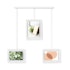 Umbra Exhibit Wall Picture Frames (Set of 3) White