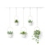 Umbra Triflora Hanging Planter (Set of 5) White/Brass