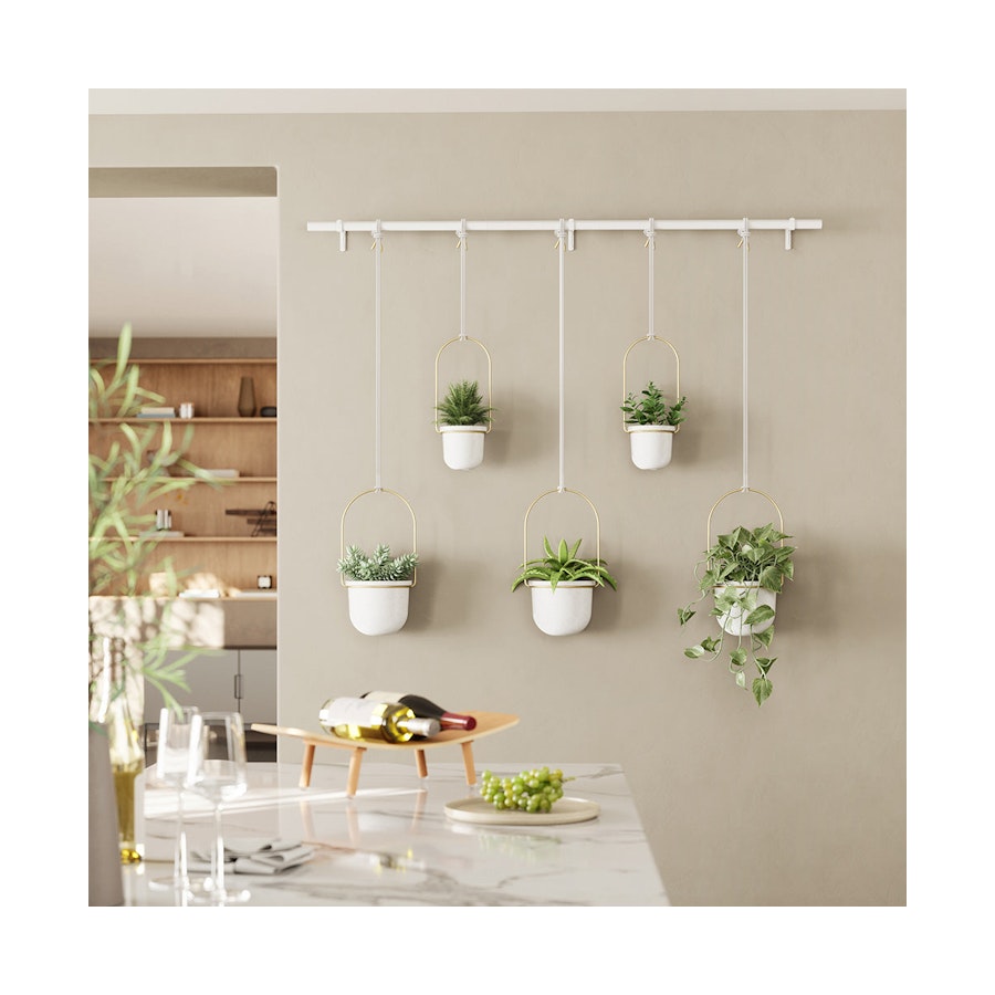 Umbra Triflora Hanging Planter (Set of 5) White/Brass White/Brass