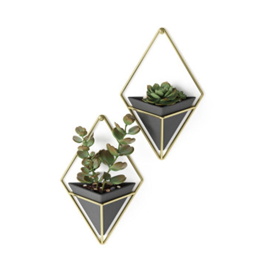 Umbra Trigg Small Wall Vessel Black/Brass Black/Brass