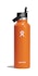 Hydro Flask 21oz (621ml) Standard Mouth Drink Bottle w/ Flex Straw Cap Mesa